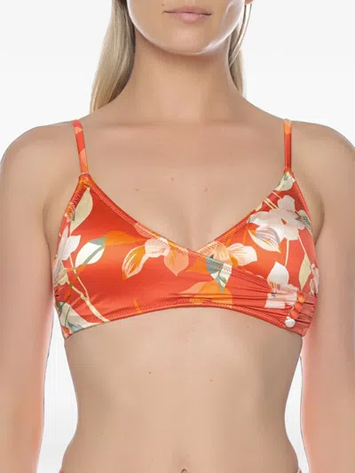 Gottex Floral-print Triangle Bikini Top In Brown