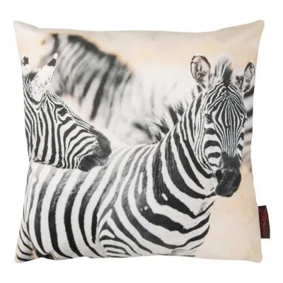 Gouchee Home Safari Zebra Throw Pillow