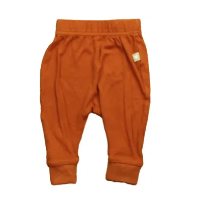 Pre-owned Goumi Kids' Unisex Rust Leggings In Orange