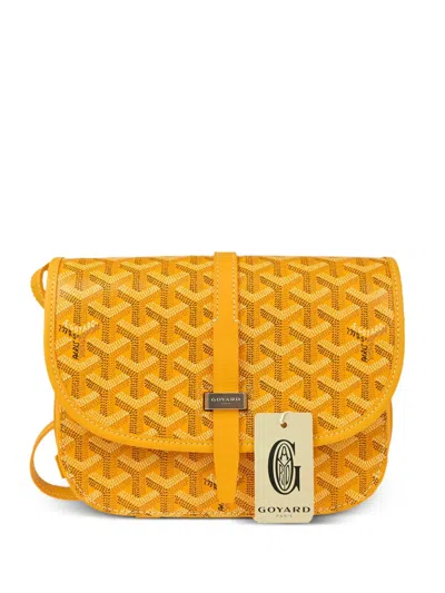Pre-owned Goyard 2024 Belvedere Pm Shoulder Bag In 黄色