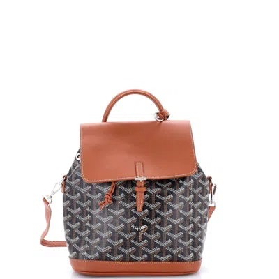 Goyard Alpin Backpack Coated Canvas Mini In Multi