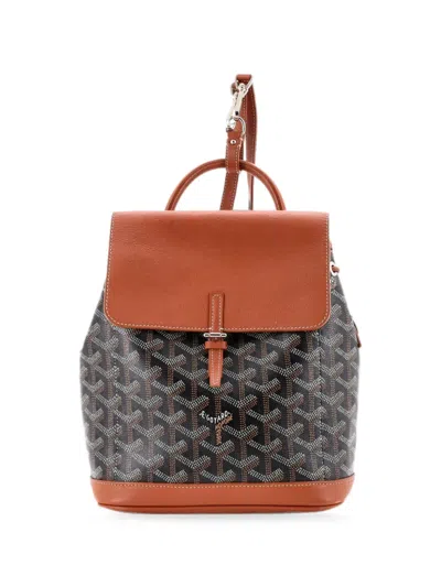 Pre-owned Goyard Alpin Coated Canvas Mini Backpack In Brown