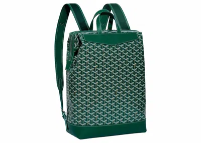 Pre-owned Goyard Cisalpin Backpack In Green