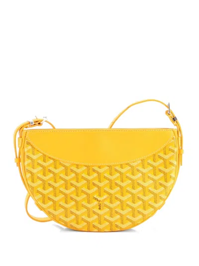 Pre-owned Goyard Hirondelle Coated Canvas And Leather Shoulder Bag In Orange