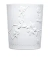 Grace De Monaco Large Danse Étoilée Candle