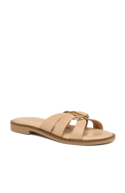 Grace Footwear Eris Gold Buckle Slide Sandal In Brown