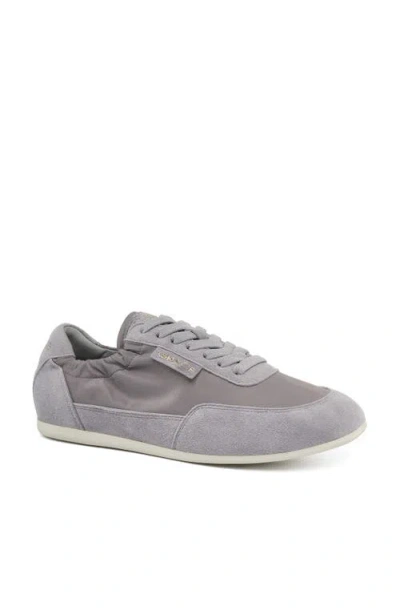 Grace Pamela Sneaker In Gray