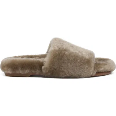 Grace Women's Cali Slipper In Taupe Shearling