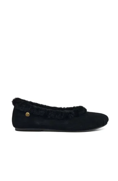 Grace Women's Reims-f Flat In Black Kid Suede