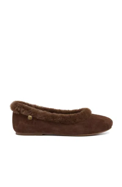Grace Women's Reims-f Flat In Tobacco Kid Suede