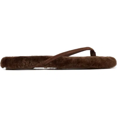 Grace Women's Sunset-f Slipper In Tobacco Kid Suede