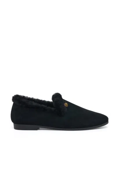 Grace Women's Vivian-f Slipper In Black Kid Suede