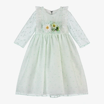 Graci Kids' Girls Green Tulle Flower Dress