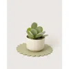 Graf & Lantz Graf Lantz Crest Merino Wool 10" Trivet In Green