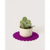Graf & Lantz Graf Lantz Crest Merino Wool 10" Trivet In Pink