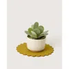 Graf & Lantz Graf Lantz Crest Merino Wool 10" Trivet In Yellow