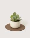 Graf & Lantz Graf Lantz Merino Wool 10" Round Trivet In Brown