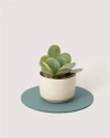 Graf & Lantz Graf Lantz Merino Wool 10" Round Trivet In Green