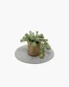 Graf & Lantz Merino Wool 10" Round Trivet