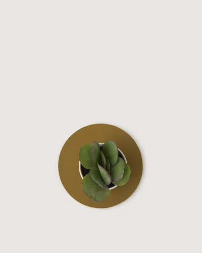 Graf & Lantz Merino Wool 10" Round Trivet In Multi
