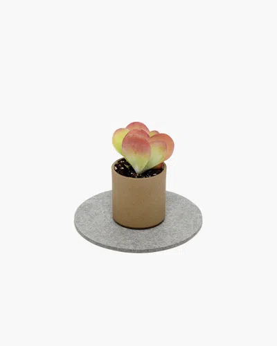Graf & Lantz Merino Wool 8" Round Trivet