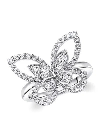 Graff White Gold And Diamond Butterfly Ring In Gray