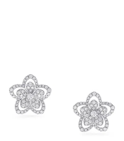 Graff White Gold And Diamond Wild Flower Earrings In Metallic