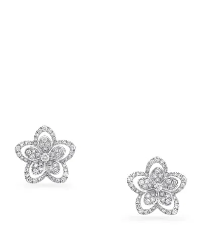 Graff White Gold And Diamond Wild Flower Stud Earrings In Metallic