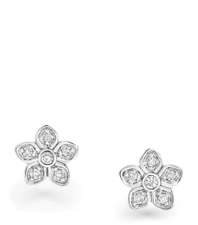 Graff White Gold And Diamond Wild Flower Stud Earrings In Silver