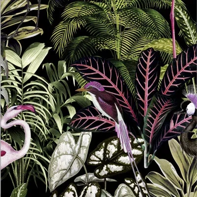 Graham & Brown Tropical Wallpaper In Black