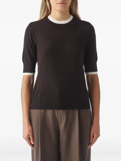 Gran Sasso Contrast-trim Short-sleeve Sweater In Brown
