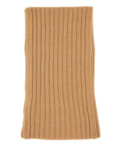 Gran Sasso Ribbed Scarf In Brown
