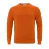 Gran Sasso Man Sweater Rust Size 44 Cotton In Orange