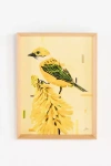 Grand Image Color Birds Wall Art