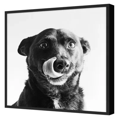 Grand Image Home " Anticipation 1 " By Pearson, Victoria In Black