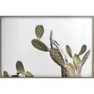 Grand Image Home Az Botanical 37 By Chris Dunker - Picture Frame Photograph In Brown;white;green