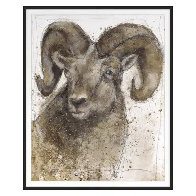 Grand Image Home Bighorn Sheep 1 By Maeve Harris - Single Picture Frame Print In Black Framed