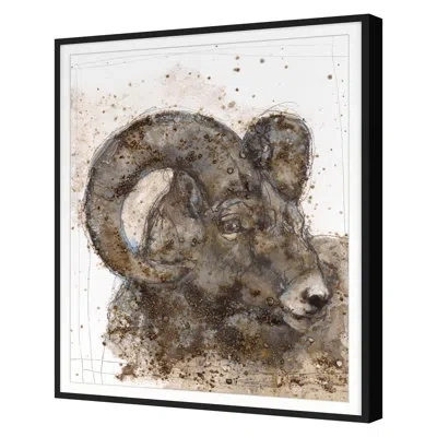 Grand Image Home Bighorn Sheep 2 By Maeve Harris - Single Picture Frame Print In Black Framed