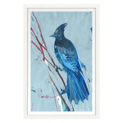 Grand Image Home Blue Jay 3 By Pc Ngo - Single Picture Frame Print In White Framed