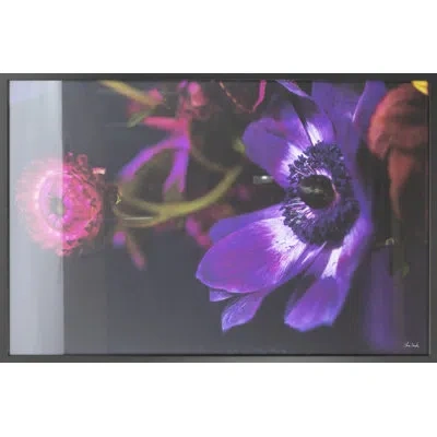 Grand Image Home Botanical Arrangement 1 By Chris Dunker - Picture Frame Photograph In Green;pink;purple