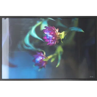 Grand Image Home Botanical Arrangement 2 By Chris Dunker - Picture Frame Photograph On Paper In Blue;green;purple