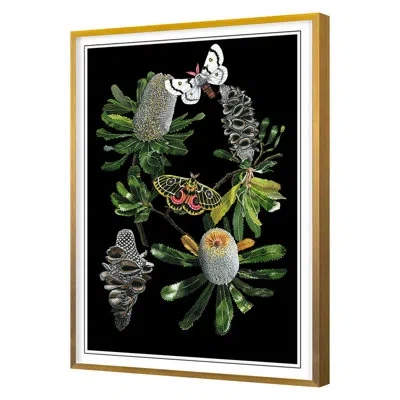 Grand Image Home Botany Banksia Chart By Naomi Mccavitt - Floater Frame Painting In Black;white;green;yellow;pink