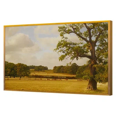 Grand Image Home Bucolic By Kate Woodman - Floater Frame Print On Canvas In Brown;green;yellow