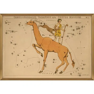 Grand Image Home Camelopardalis By Grand Archives - Picture Frame Painting In Blue;brown;green;red;beige;yellow;pink