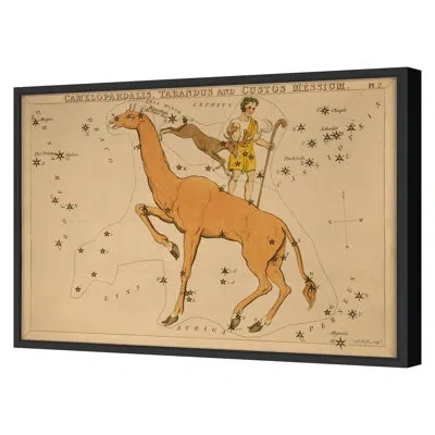 Grand Image Home Camelopardalis By Grand Archives - Single Picture Frame Print On Paper In Black Framed