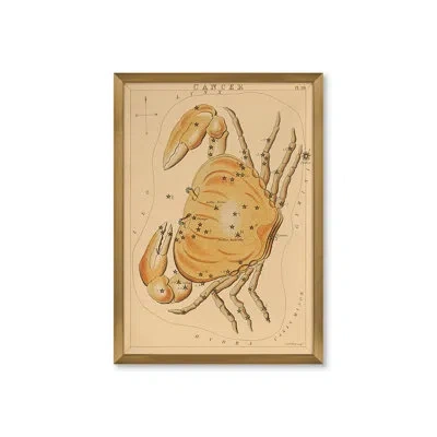 Grand Image Home Cancer By Grand Archives - Framed Graphic Art On Paper In Blue;brown;green;red;beige;yellow;pink