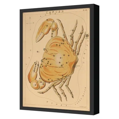 Grand Image Home Cancer By Grand Archives - Single Picture Frame Print On Paper In Black Framed