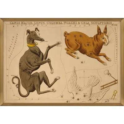 Grand Image Home Canis Major By Grand Archives - Picture Frame Painting In Blue;brown;green;red;beige;yellow;pink