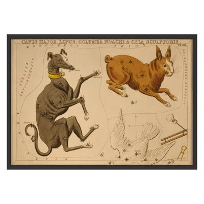 Grand Image Home Canis Major By Grand Archives - Single Picture Frame Print On Paper In Black Framed