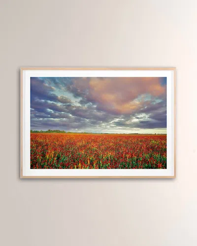 Grand Image Home Crimson Clover Digital Art Print By Photodf In Maple